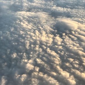 Meet your Posher, Shareef